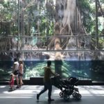CosmoCaixa Музеи Барселоны